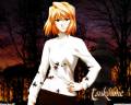 AnimePaper_wallpapers_Shingetsutan-Tsukihime_Bantam_59.jpg