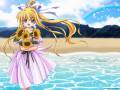 air_beach_kamio_misuzu_summer_4720.jpg