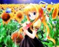 air_goto-p_kamio_misuzu_key_sunflower_visualart_24445.jpg