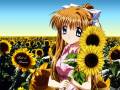 air_kamio_misuzu_sunflower_25004.jpg