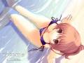 bikini_dead_or_alive_iizuki_tasuku_kasumi_swimsuit_10757.jpg