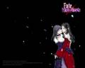 fate-stay_night_fate_hollow_ataraxia_matou_sakura_tohsaka_rin_18739.jpg