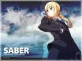 fate-stay_night_fate_zero_heroines_duel_nitroplus_royale_saber_2640.jpg