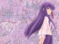 fate-stay_night_matou_sakura_12824.jpg