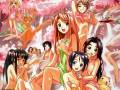 Love_Hina_011.jpg