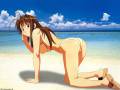 beach_love_hina_swimsuit_12095.jpg