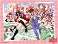 kagurazaka_asuna_mahou_sensei_negima_negi_springfield_15505.jpg