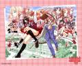 mahou_sensei_negima_4154.jpg