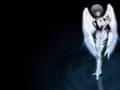 ayanami_rei_black_neon_genesis_evangelion_wings_16632.jpg