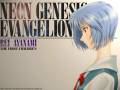 ayanami_rei_neon_genesis_evangelion_taka_tony_646.jpg