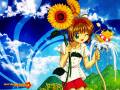 card_captor_sakura_26616.jpg