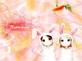 ana_coppola_barasui_bunnygirl_ichigo_mashimaro_itou_chika_loli_usagimimi_18838.jpg