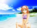 beach_kimi_ga_nozomu_eien_suzumiya_akane_swimsuit_24169.jpg