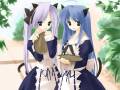 catgirl_hiiragi_kagami_izumi_konata_lucky_star_waitress_11664.jpg