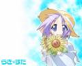 hiiragi_tsukasa_lucky_star_sunflower_26601.jpg