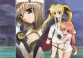 alph_fate_testarossa_mahou_shoujo_lyrical_nanoha_9159.jpg