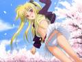 fate_testarossa_mahou_shoujo_lyrical_nanoha_panties_13608.jpg