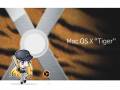 longhorn_mac_os-tan_osx_tiger_10078.jpg