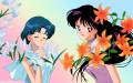 hino_rei_mars_mercury_mizuno_ami_sailor_moon_20380.jpg