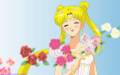 sailor_moon_sailormoon_serenity_tsukino_usagi_usagi_11584.jpg