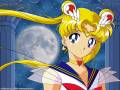 sailor_moon_sailormoon_serenity_tsukino_usagi_usagi_26956.jpg