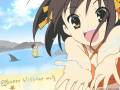 beach_shark_suzumiya_haruhi_suzumiya_haruhi_no_yuutsu_5647.jpg