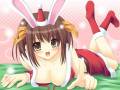 bunnygirl_christmas_suzumiya_haruhi_suzumiya_haruhi_no_yuutsu_15881.jpg