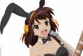 bunnygirl_microphone_suzumiya_haruhi_suzumiya_haruhi_no_yuutsu_21019.jpg