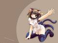 catgirl_namamo_nanase_suzumiya_haruhi_suzumiya_haruhi_no_yuutsu_4714.jpg