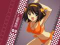 suzumiya_haruhi_suzumiya_haruhi_no_yuutsu_swimsuit_11917.jpg