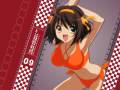 suzumiya_haruhi_suzumiya_haruhi_no_yuutsu_swimsuit_16591.jpg